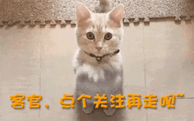 事长拍板再