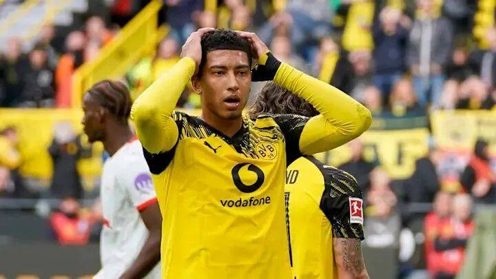 贝林厄姆耀 贝林厄姆耀