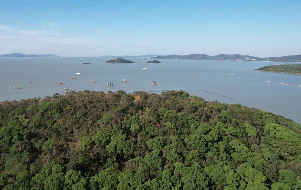 msn, 追光丨够资 msn, 追光丨够资