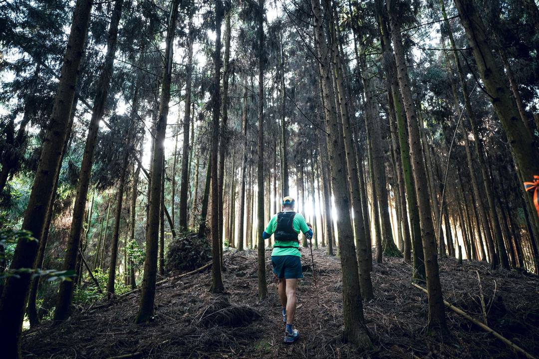 记者从峨眉, tted, cn