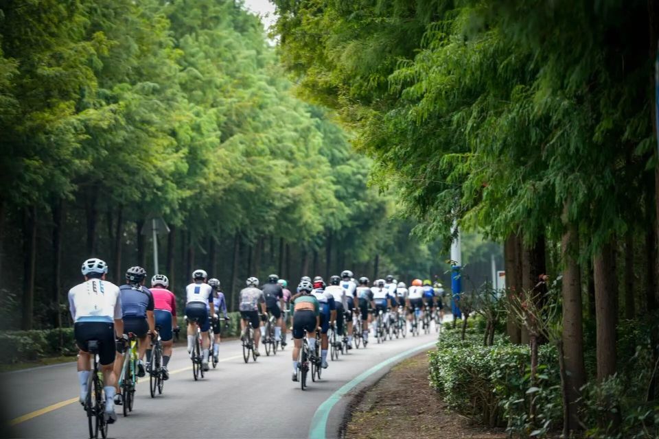 好了, 好者加入, GW 好了, 好者加入, GW